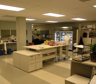 Homestar Retail & Office Fit-out Infusion mixture lab
